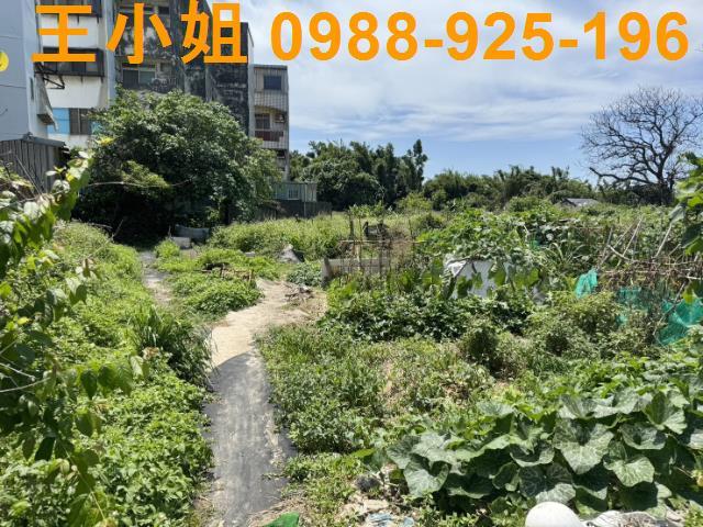 桃園大園農地-10