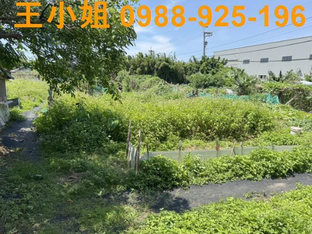 桃園大園農地-9