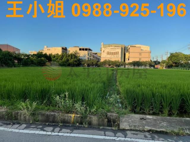 桃園中壢農地-14
