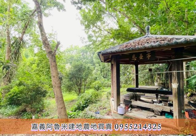 竹崎農地-8