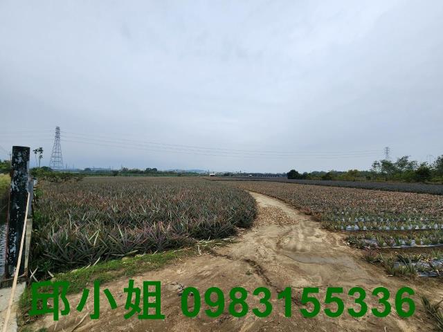 大林農地-1