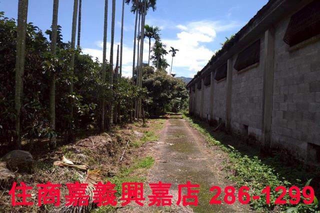 嘉義番路農地-2