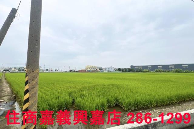 嘉義新港農地-7