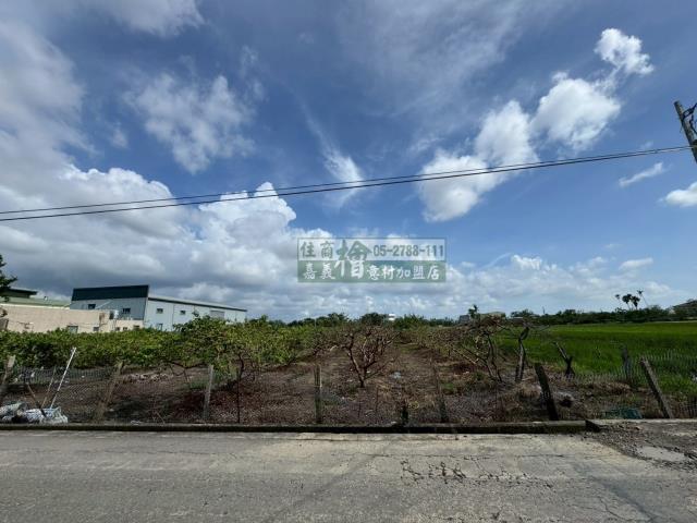 嘉義水上農地-7
