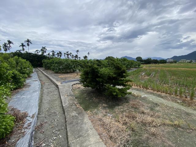 竹山農地-5