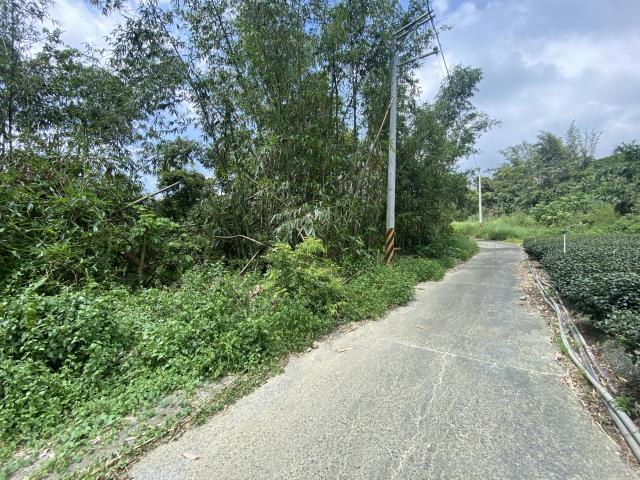 竹山農地-2
