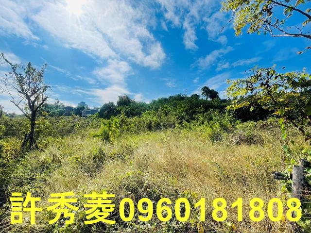 高雄燕巢農地-2