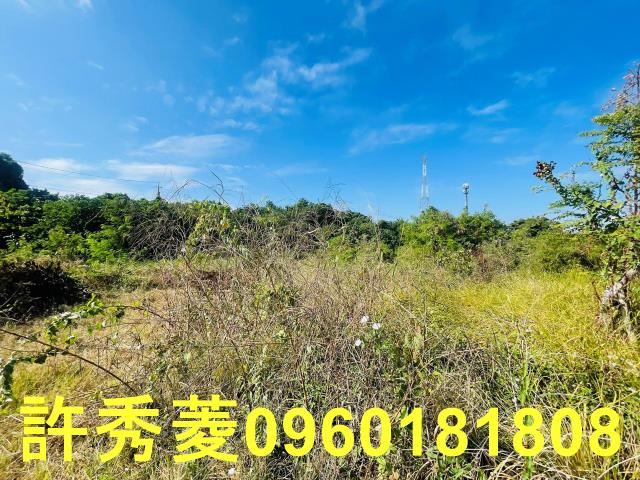 高雄燕巢農地-9