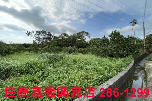 竹崎農地-11