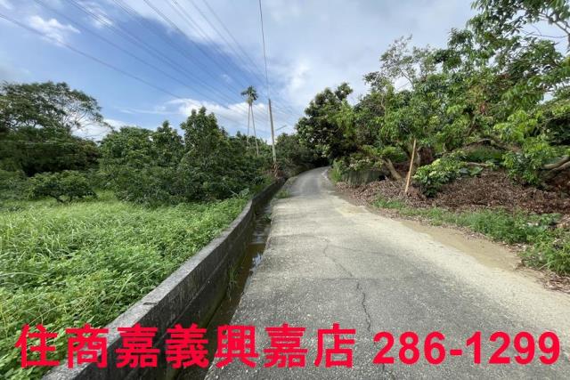 竹崎農地-12