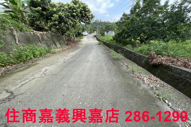 竹崎農地-2