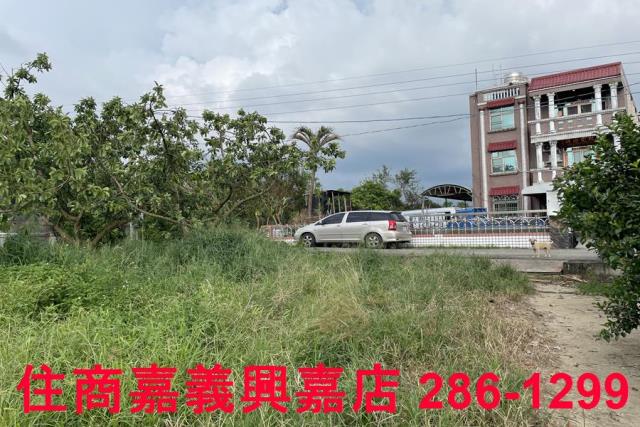 竹崎農地-3