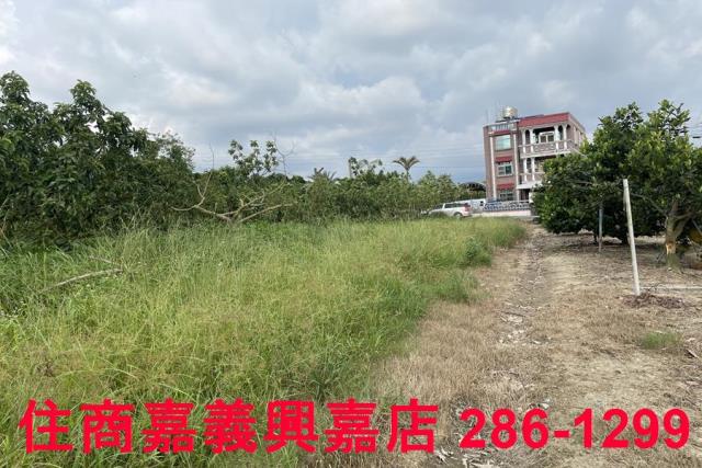竹崎農地-4