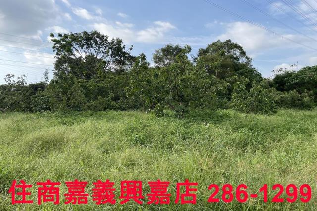 竹崎農地-6