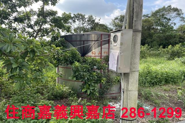 竹崎農地-8