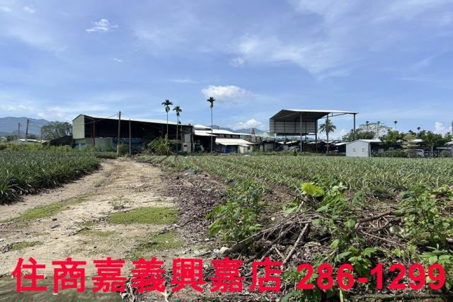 中埔農地-10