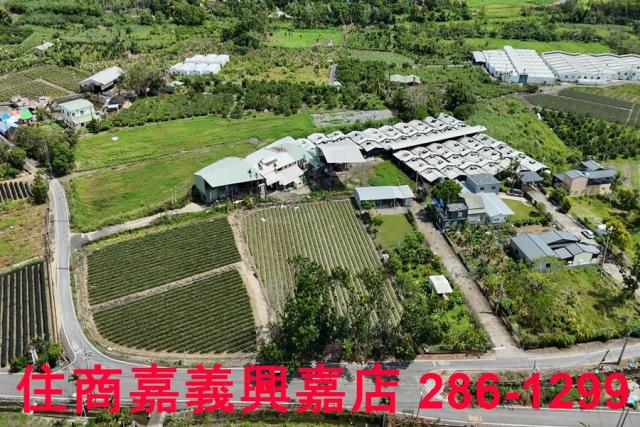 中埔農地-3