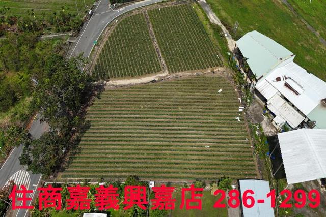 中埔農地-4