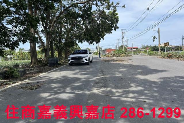 中埔農地-5