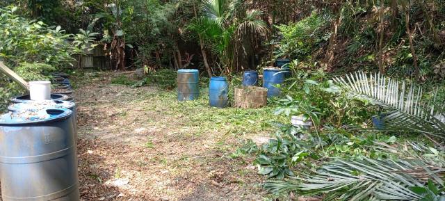 台中林地-14