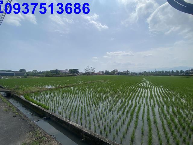 員山農地-12