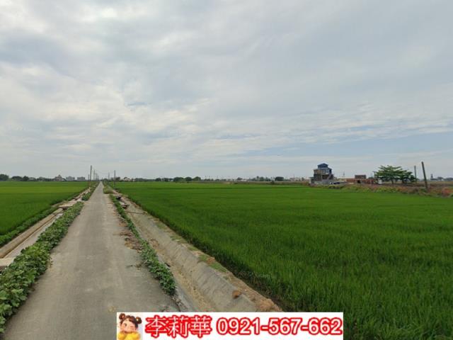 嘉義東石農地-8