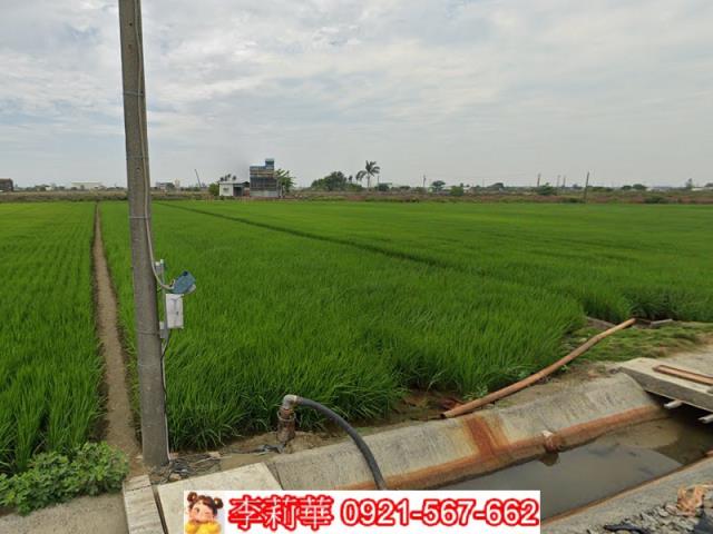 嘉義東石農地-9