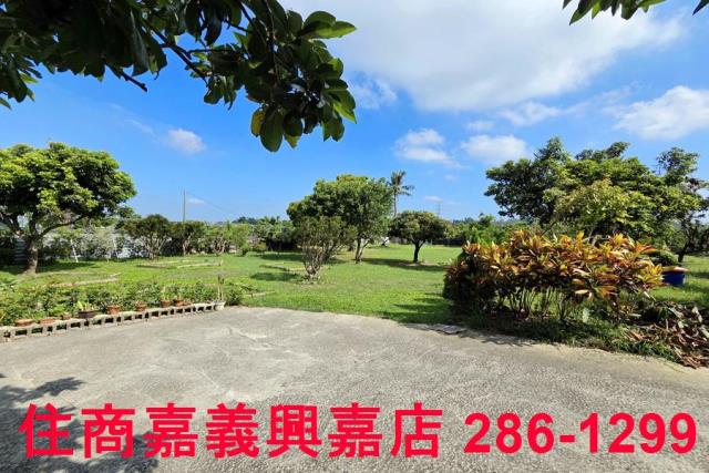 竹崎農地-10