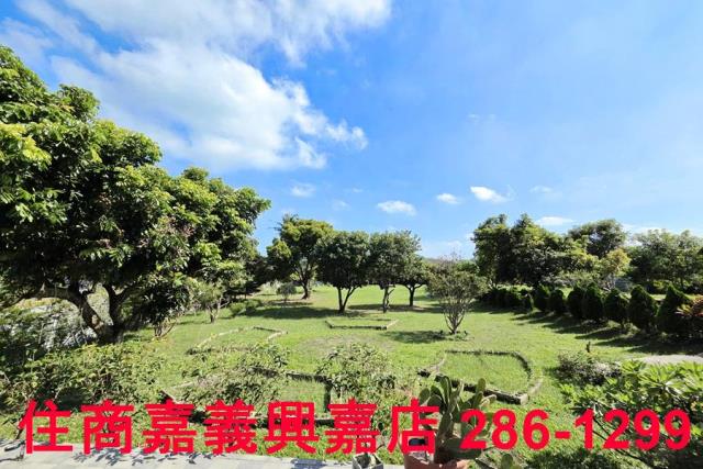 竹崎農地-11