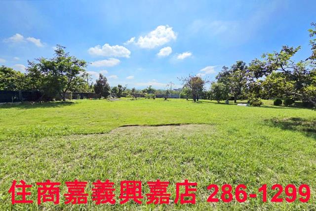 竹崎農地-12