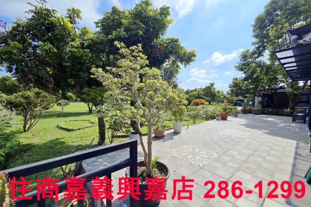 竹崎農地-7
