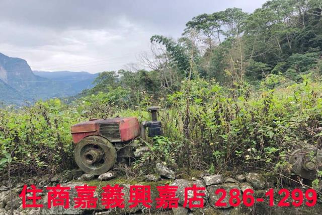 嘉義梅山農地-1