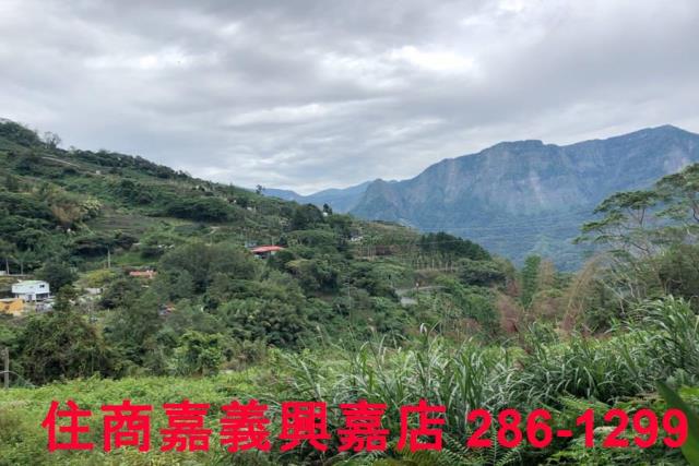 嘉義梅山農地-4