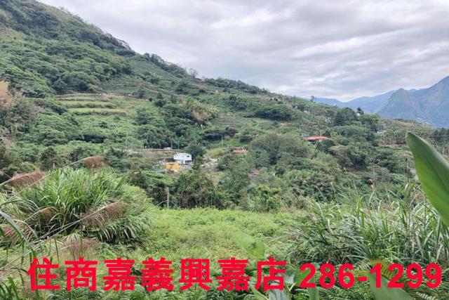 嘉義梅山農地-7