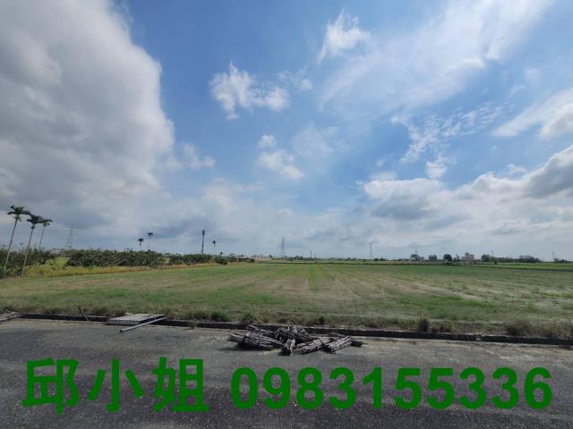 義竹農地-1