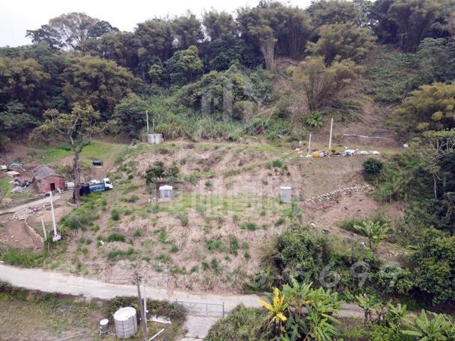 集集農地-5