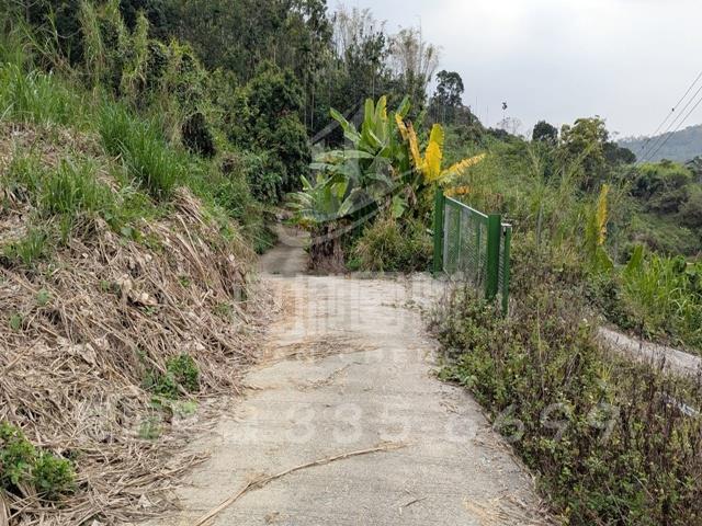集集農地-6
