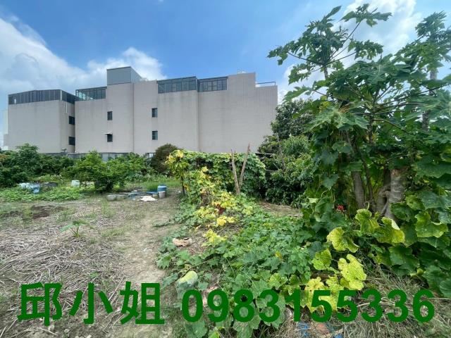 嘉義水上建地-1