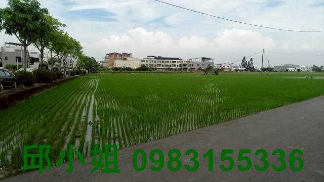 西區農地-1
