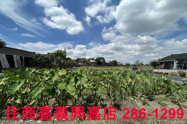 溪口建地-6