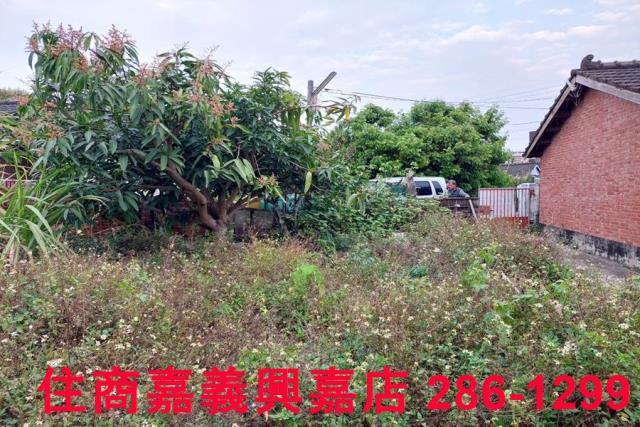 大林建地-5