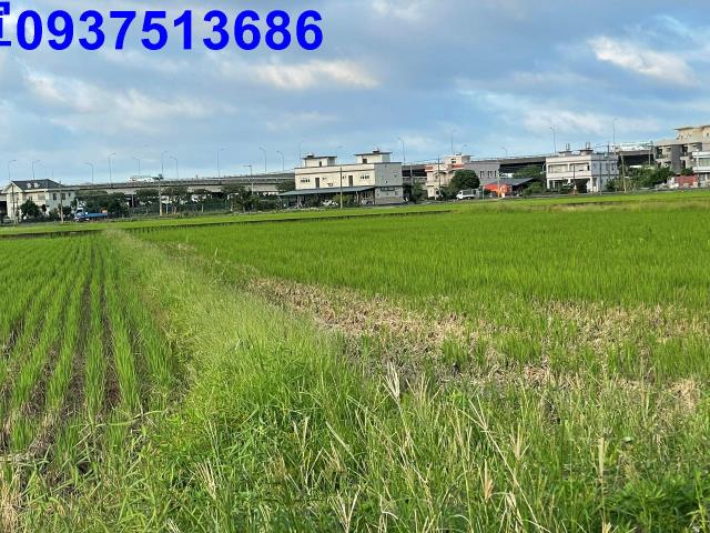 宜蘭農地-3