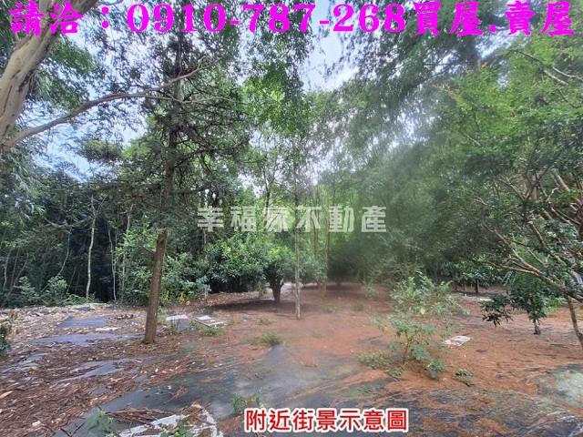 南投埔里農地-10