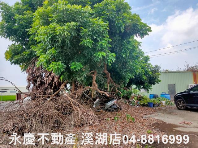 彰化埔鹽農地-9