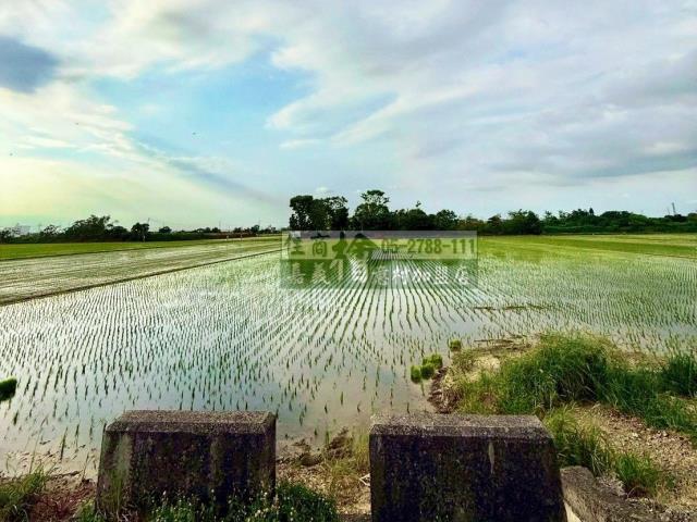 嘉義民雄農地-2