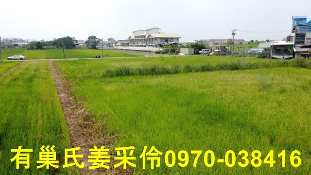 西區農地-15