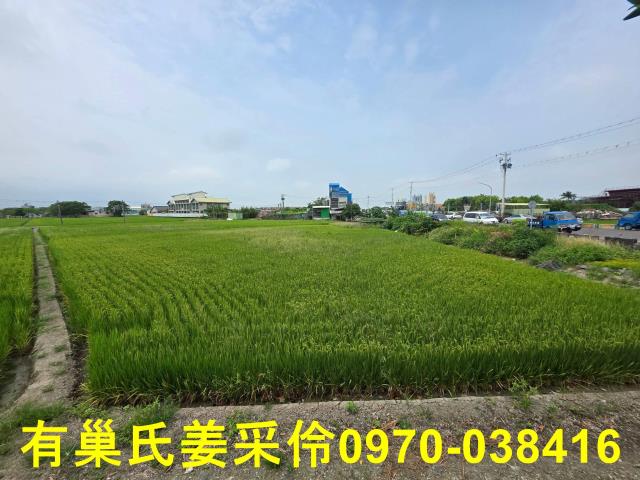 西區農地-7
