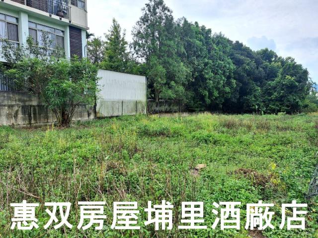 埔里農地-1