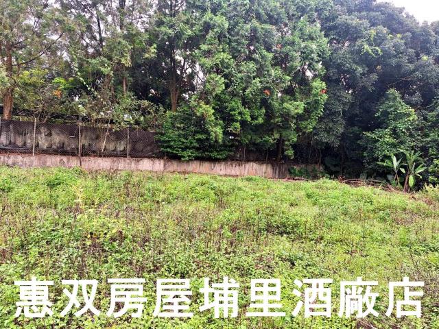 埔里農地-2