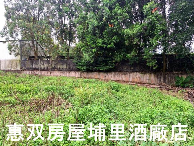 埔里農地-6